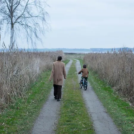 Silence And Reflection By Lammefjord * Kisserup